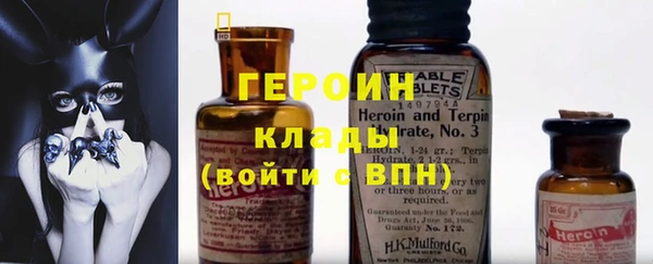 прущие грибы Бердск
