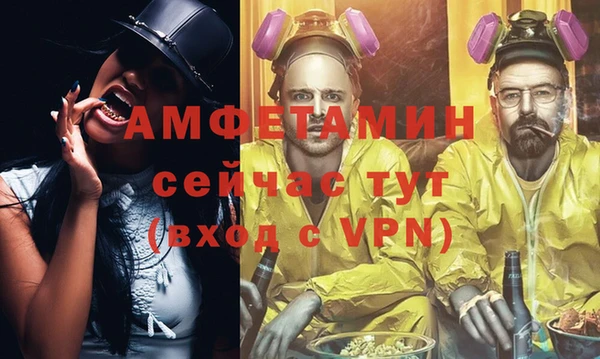 гидра Гусев