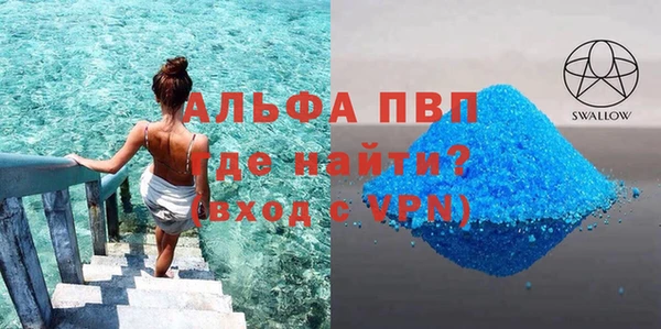 гидра Гусев