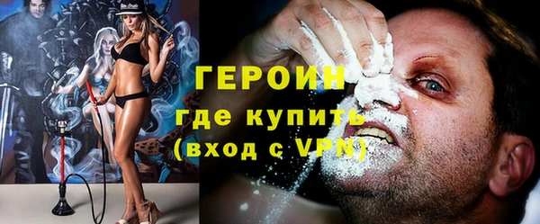 гидра Гусев