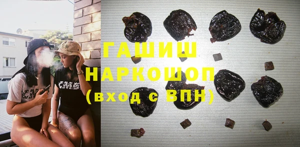 индика Мурманск