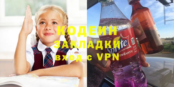 гидра Гусев