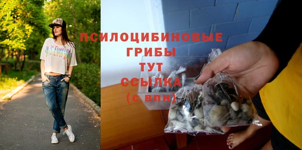 меф Гусиноозёрск