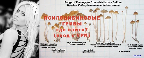 экстази Аркадак