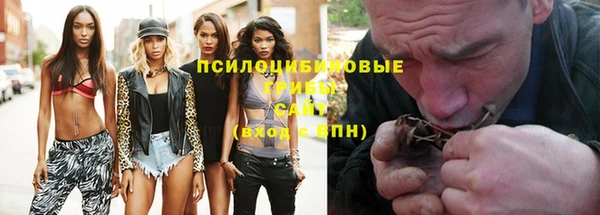 молекула духа Дмитровск