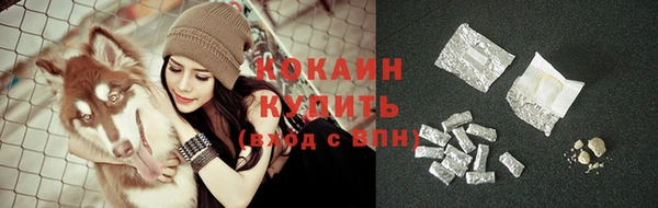 дживик Нижневартовск