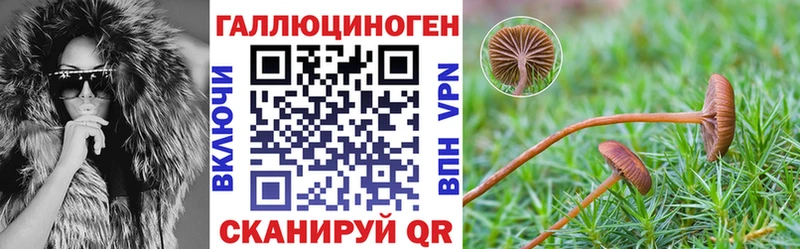 Псилоцибиновые грибы GOLDEN TEACHER купить наркотик Жуковка